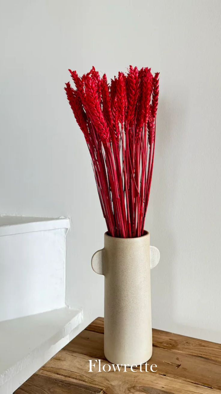 Blés séchés