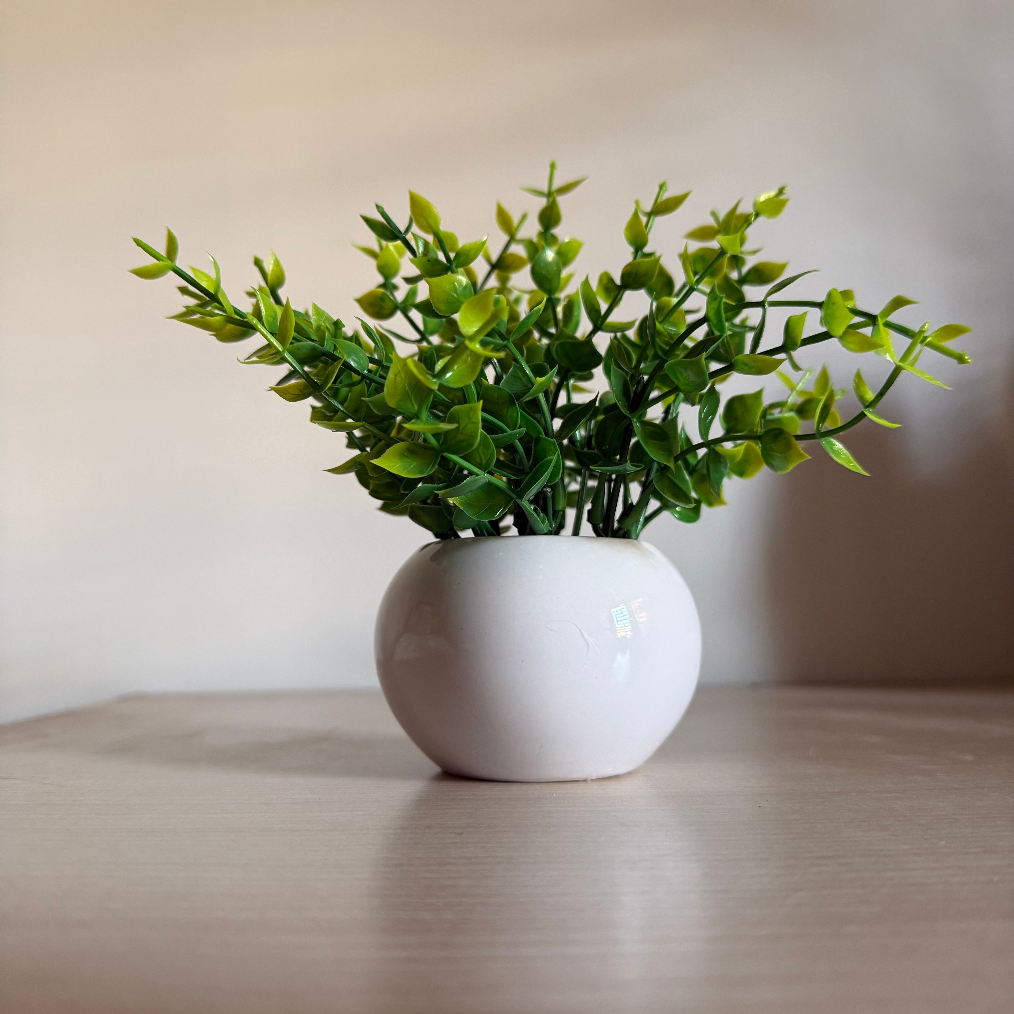 Plante Artificielle Feuillage Pot Céramique Rond Blanc