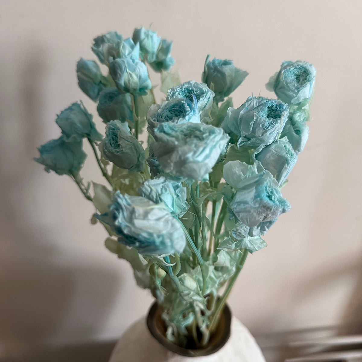 Bouquet de Roses Anglaises Séchées