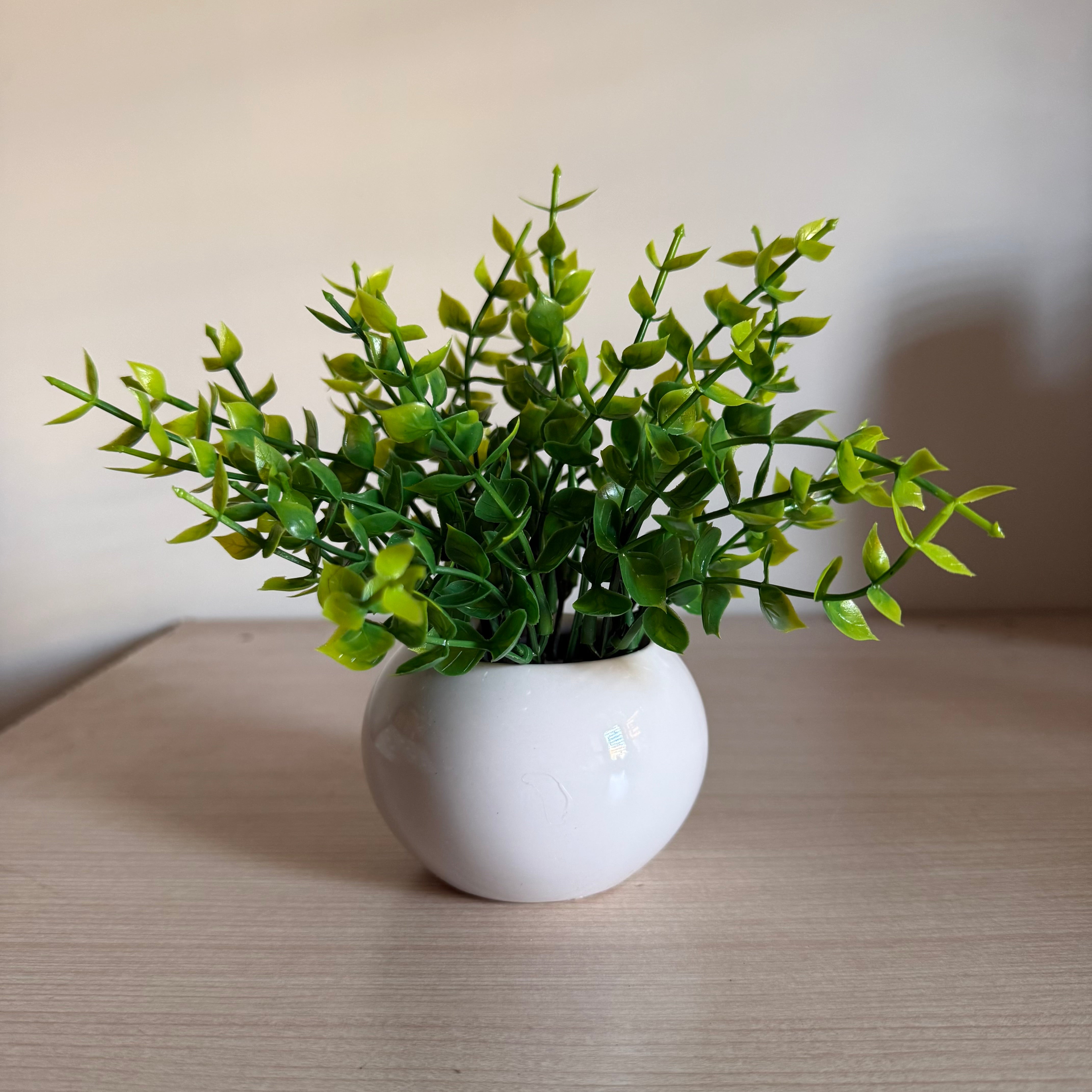Plante Artificielle Feuillage Pot Céramique Rond Blanc