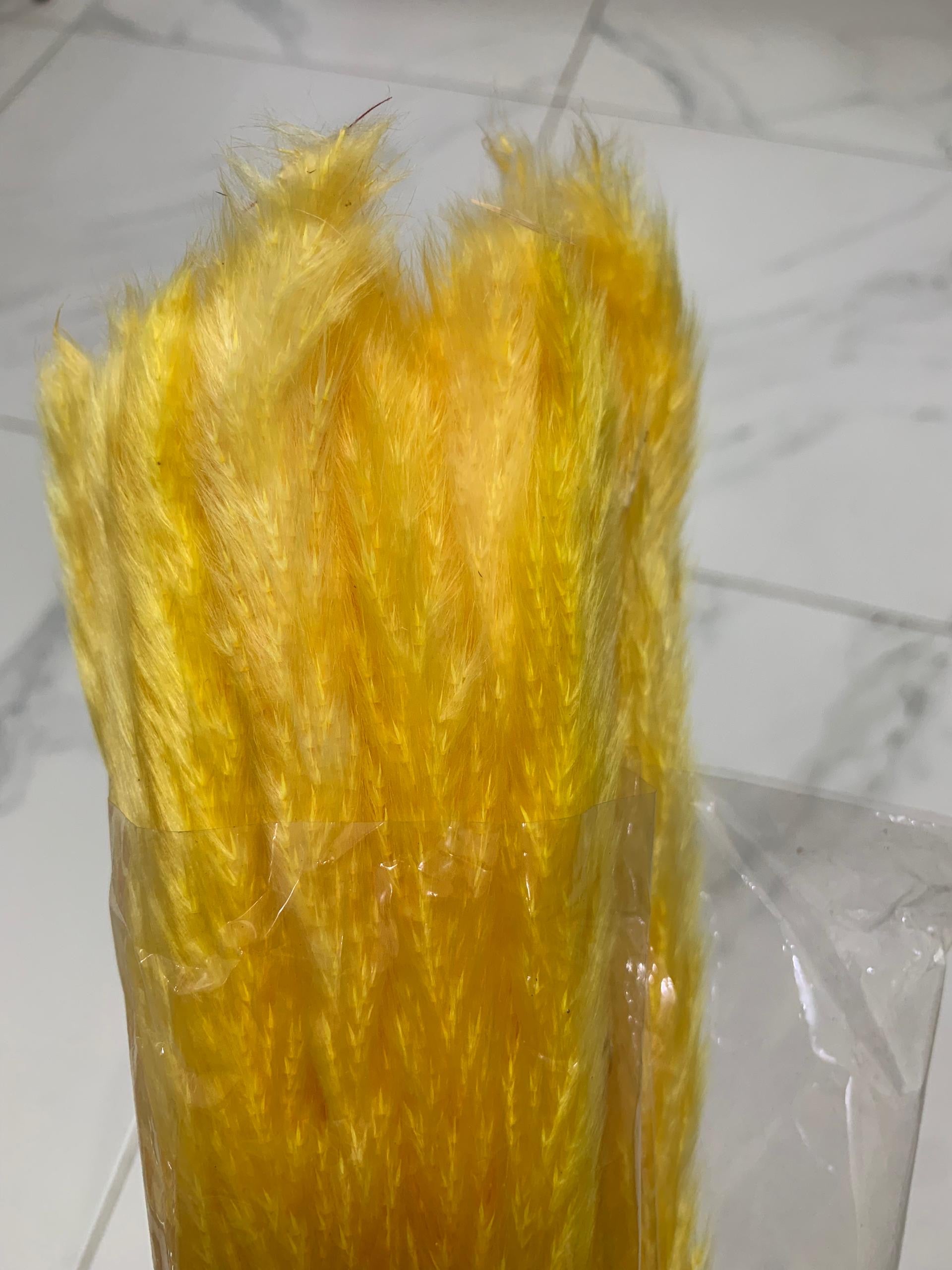 Baby Pampas