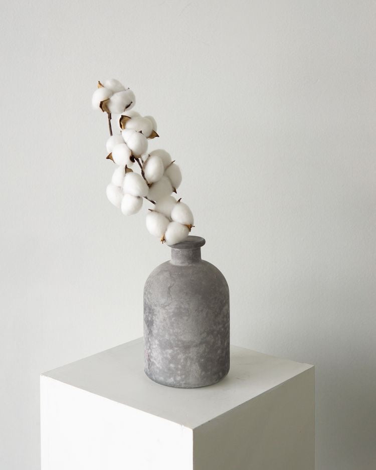 Fleur de coton