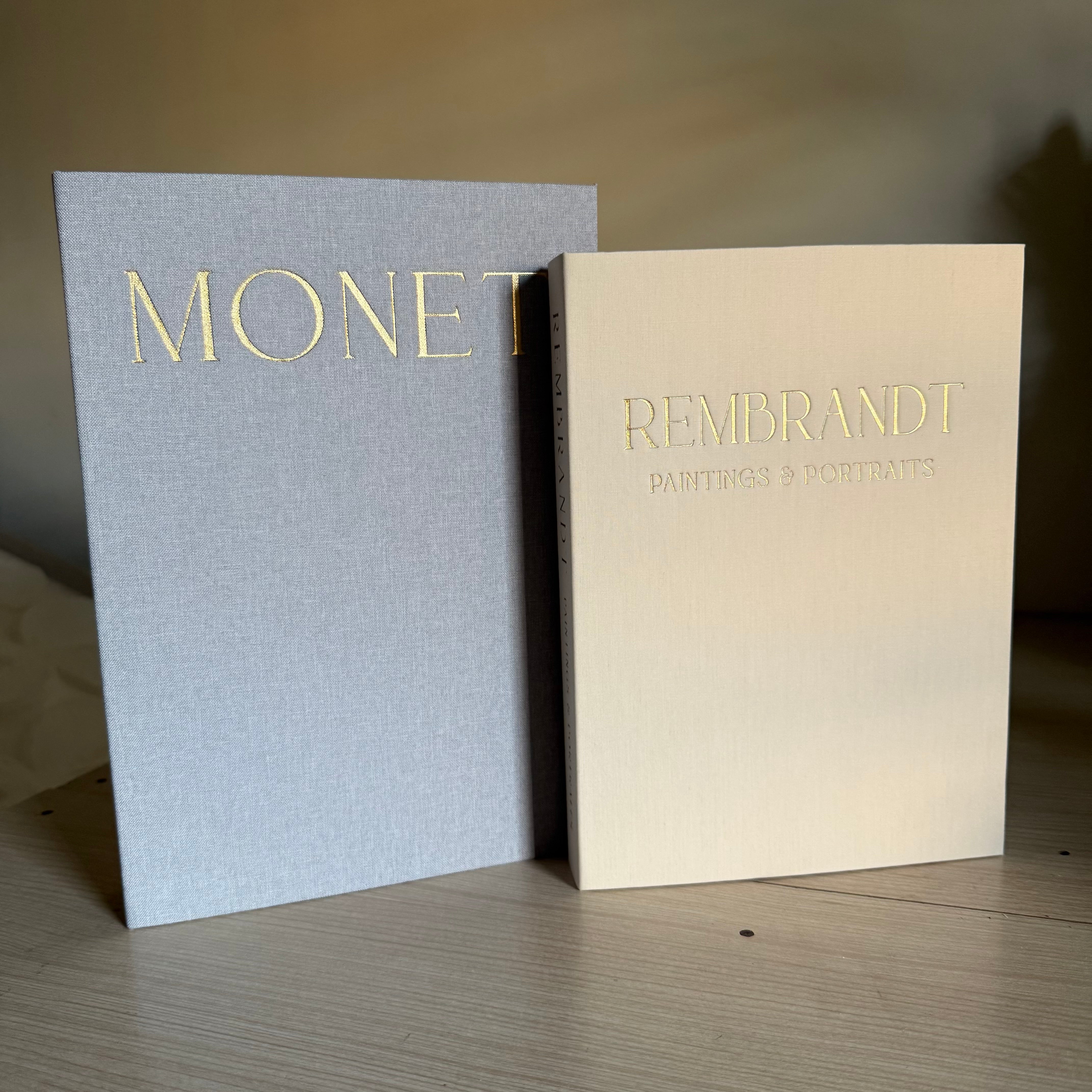 Duo boîtes livres décoratives