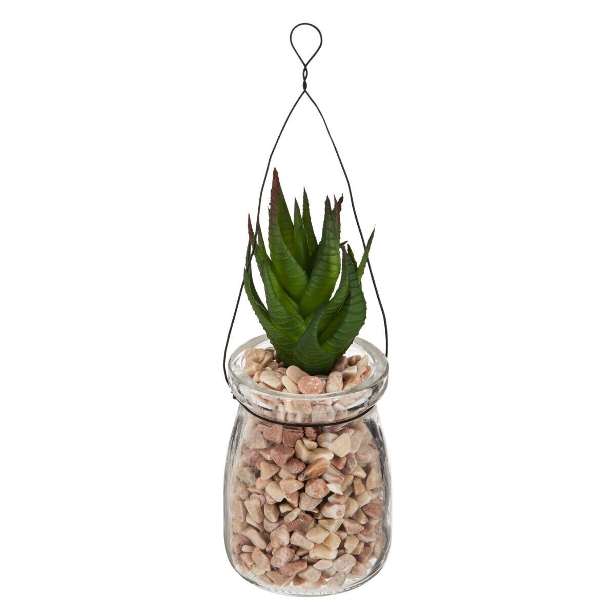 Plante suspension verre