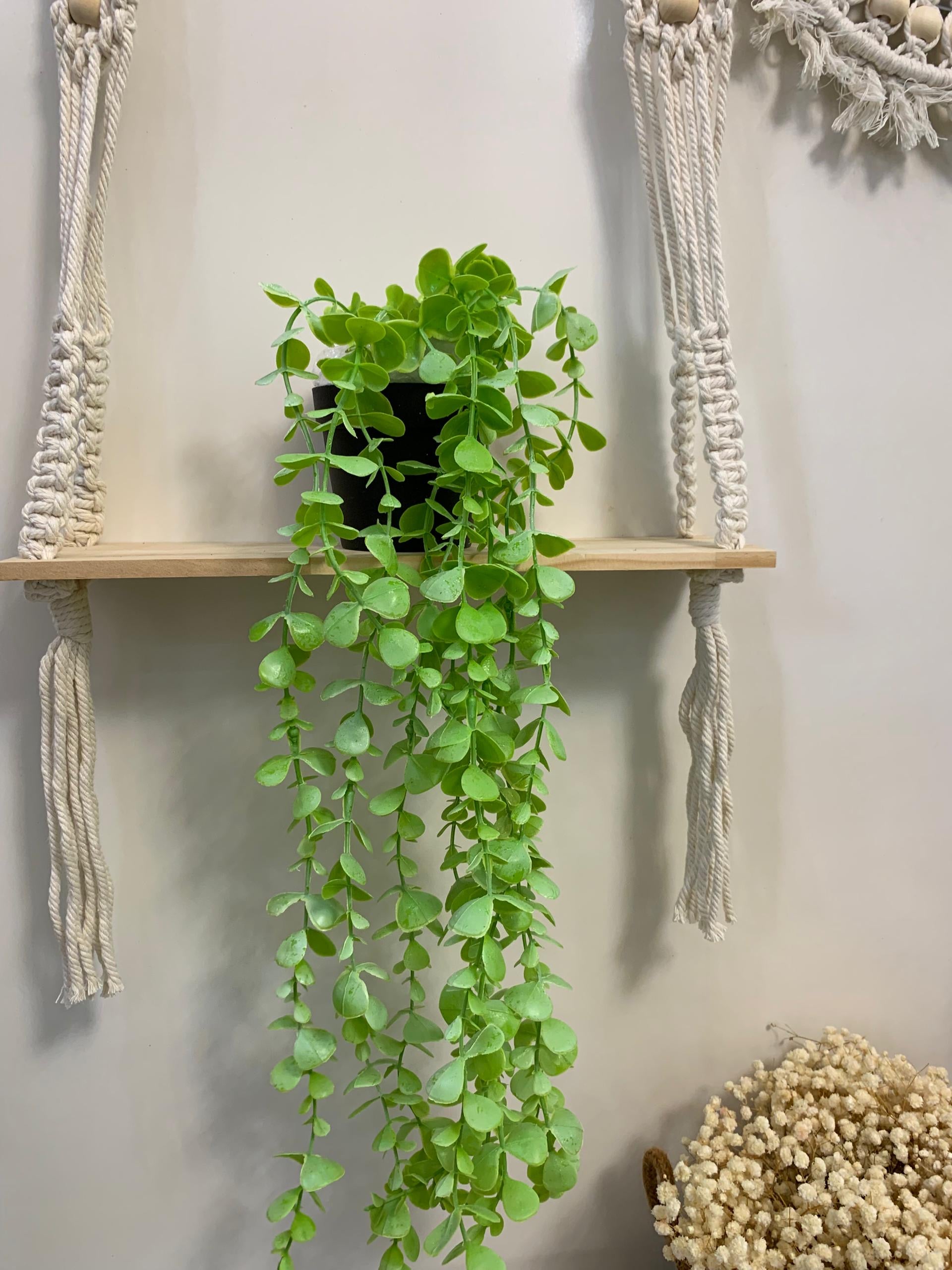Plantes suspendues artificielles
