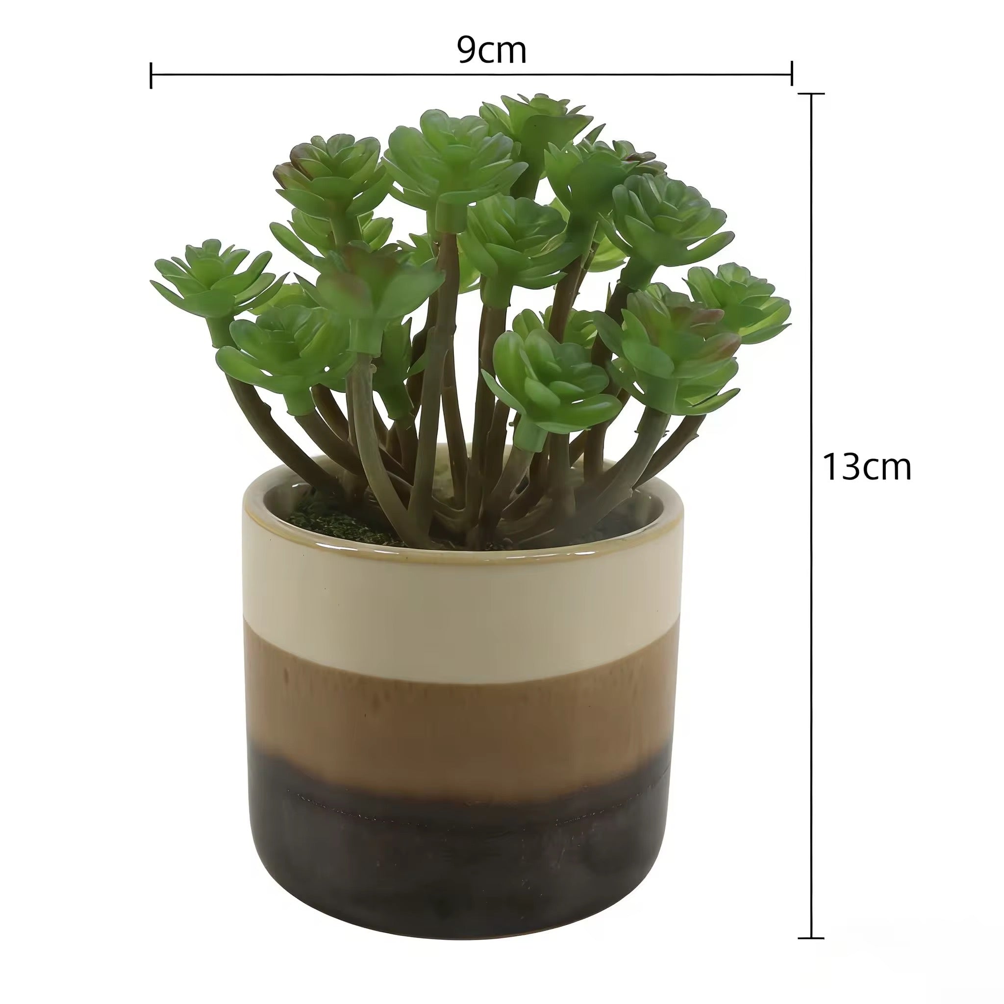Plante succulente artificielle pot céramique dégradé