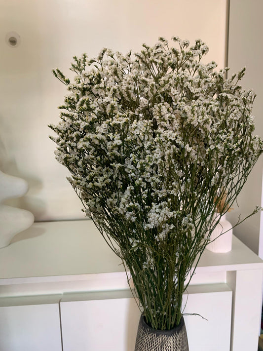 Statice séchée – Lavande de mer