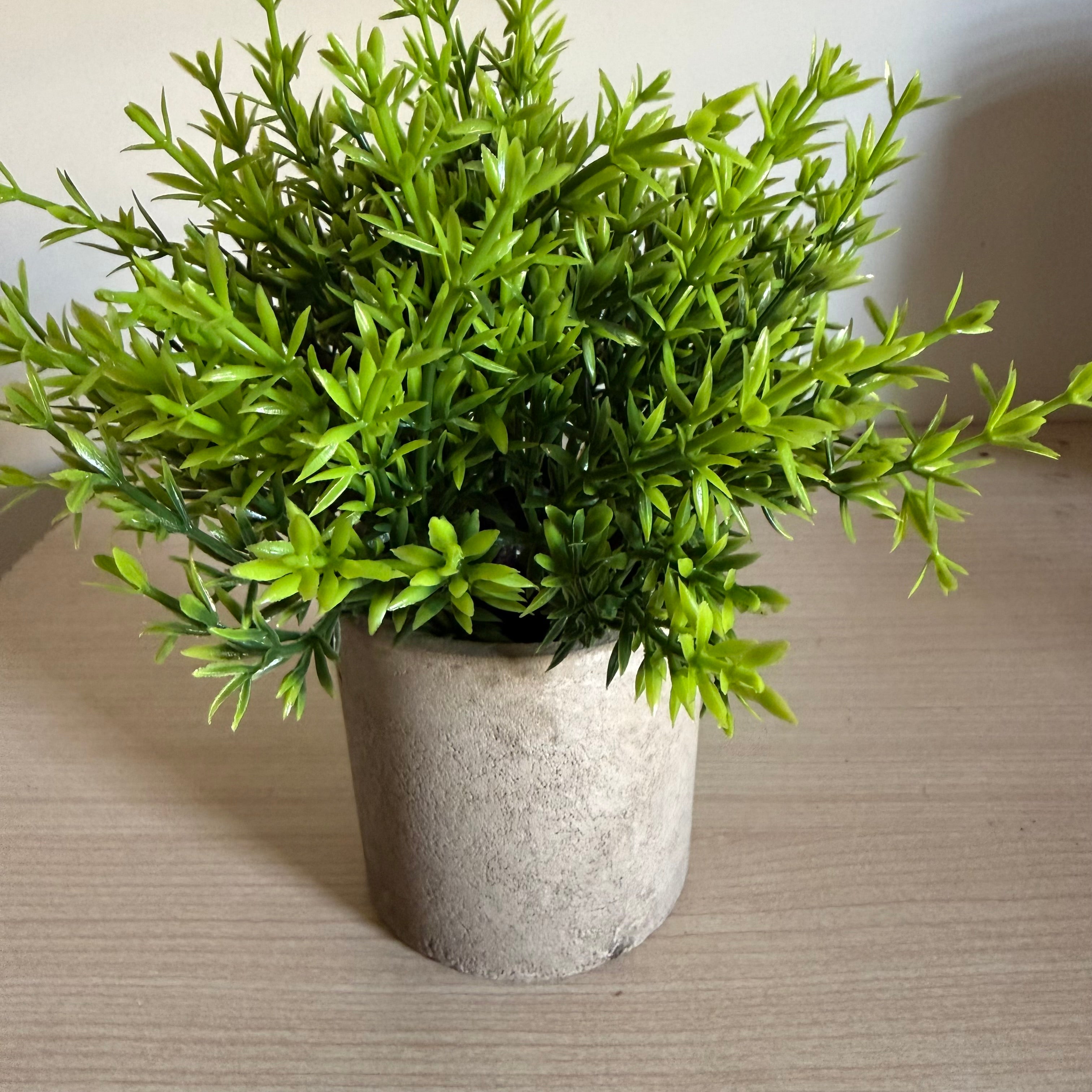 Plantes Artificielles Pot Béton