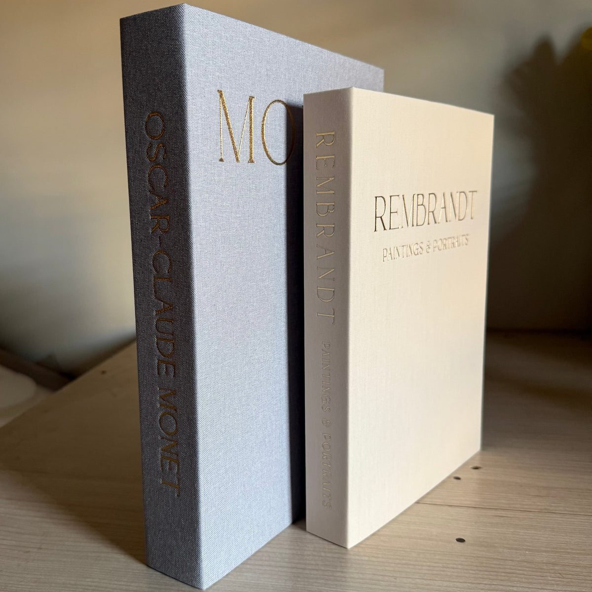 Duo boîtes livres décoratives