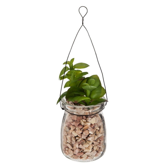 Plante suspension verre
