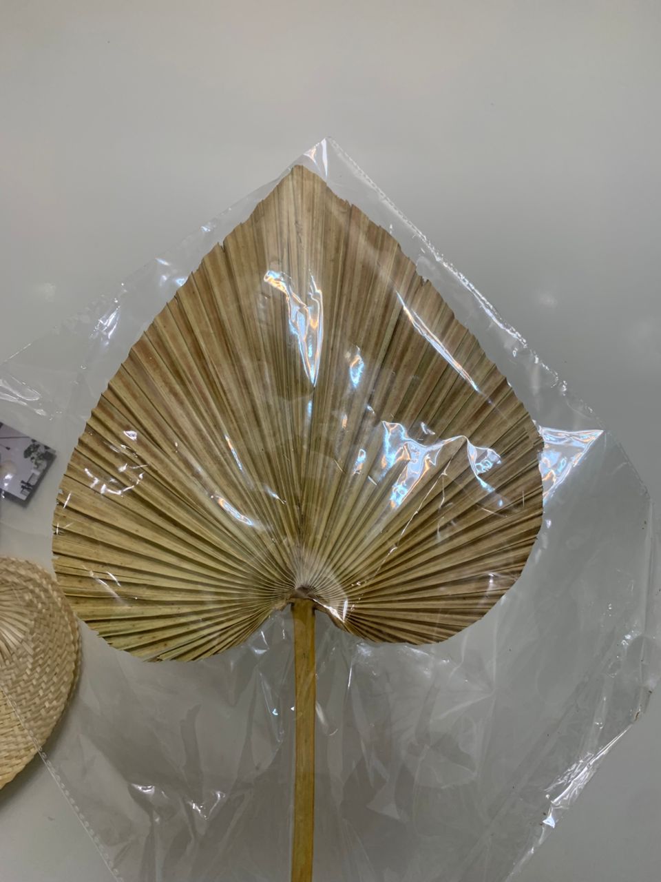 Feuille de palmier séché