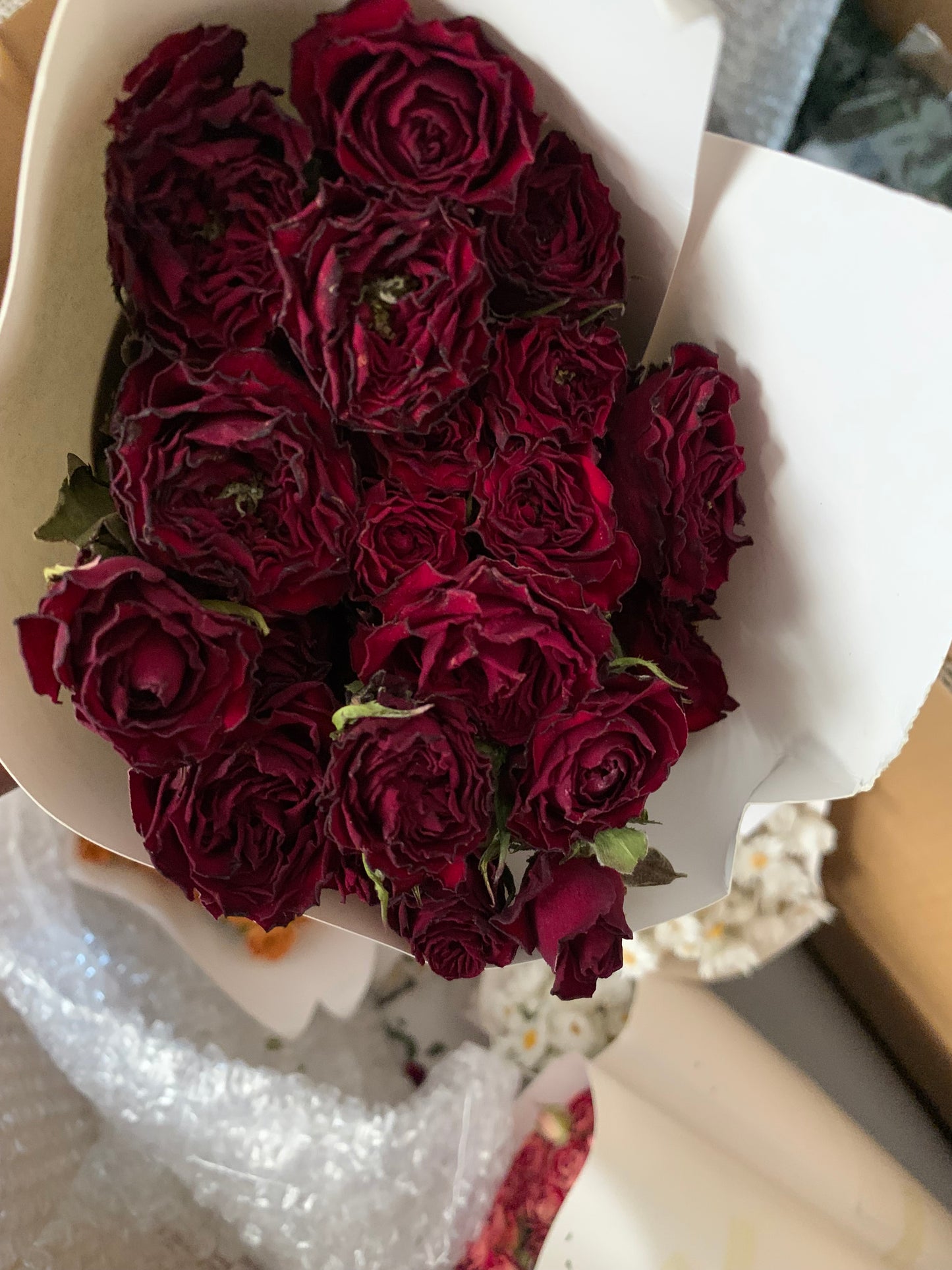 Roses séchées mini branchées