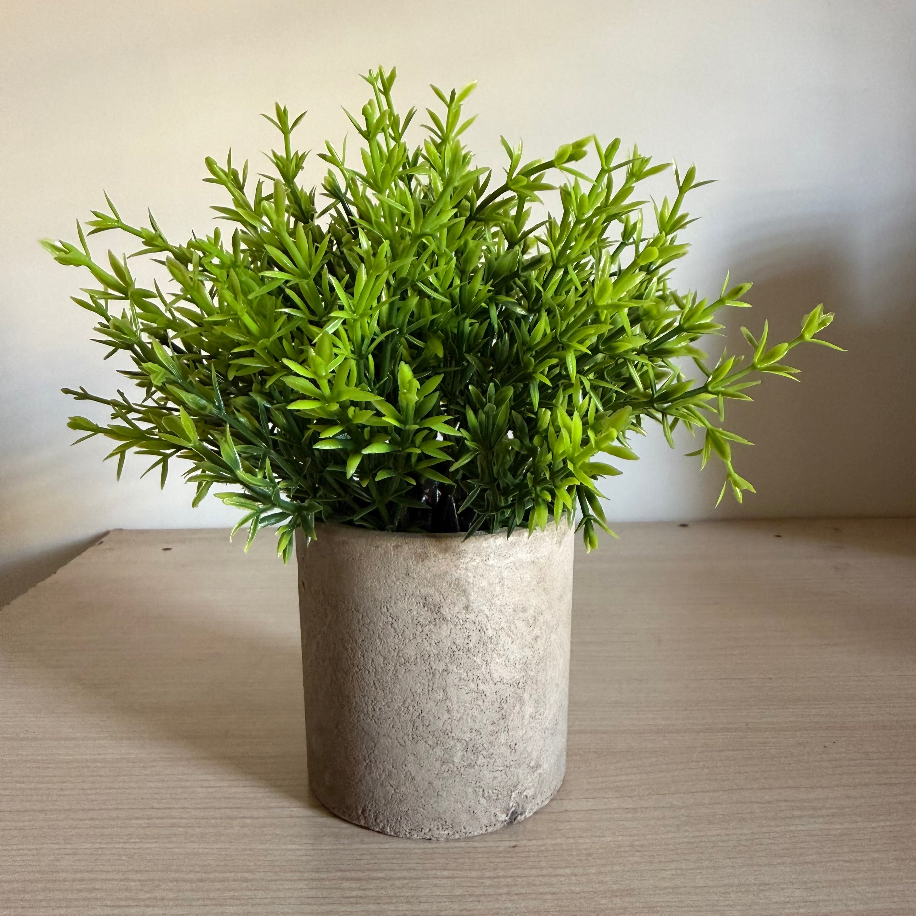Plantes Artificielles Pot Béton