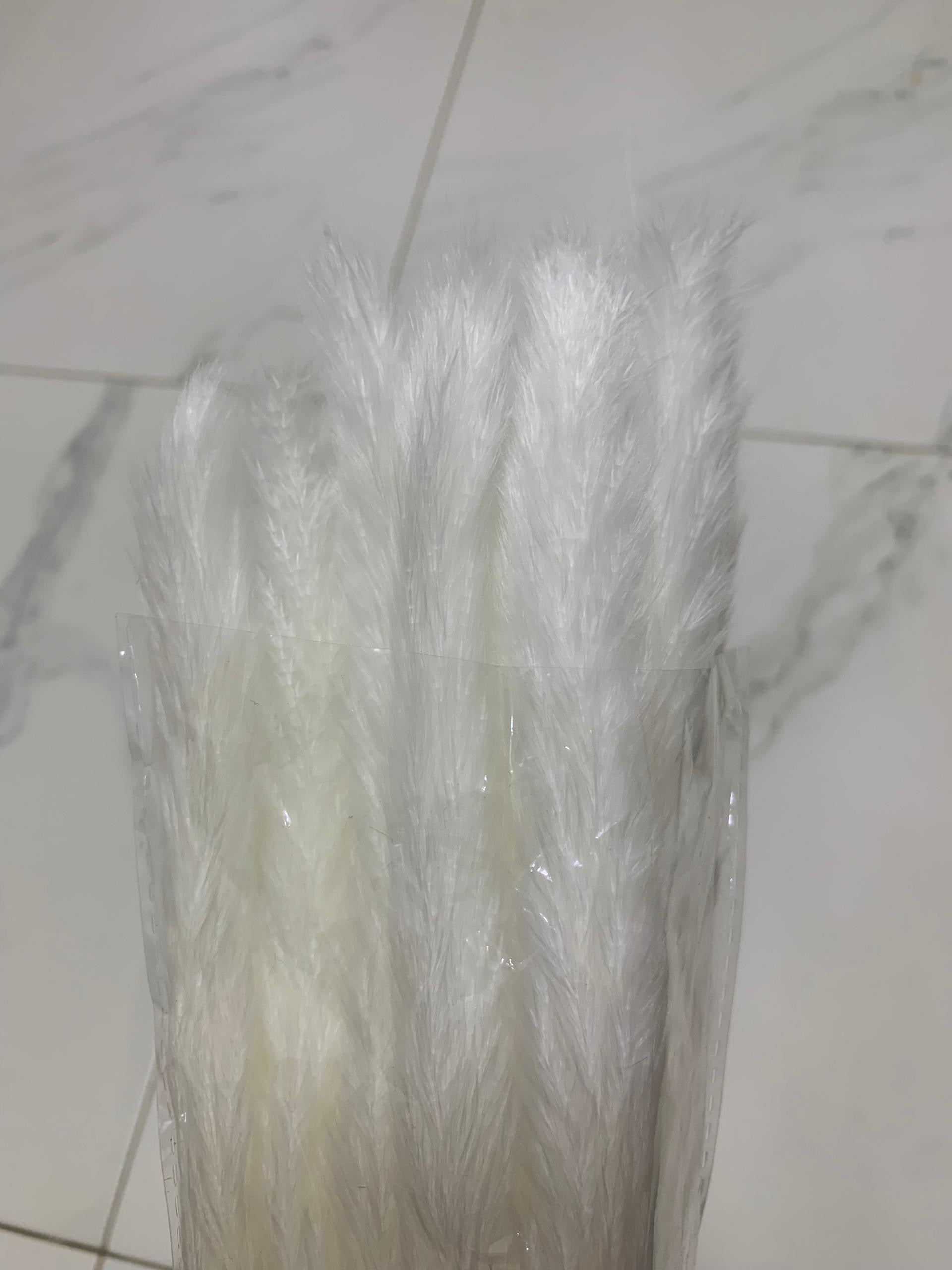 Baby Pampas