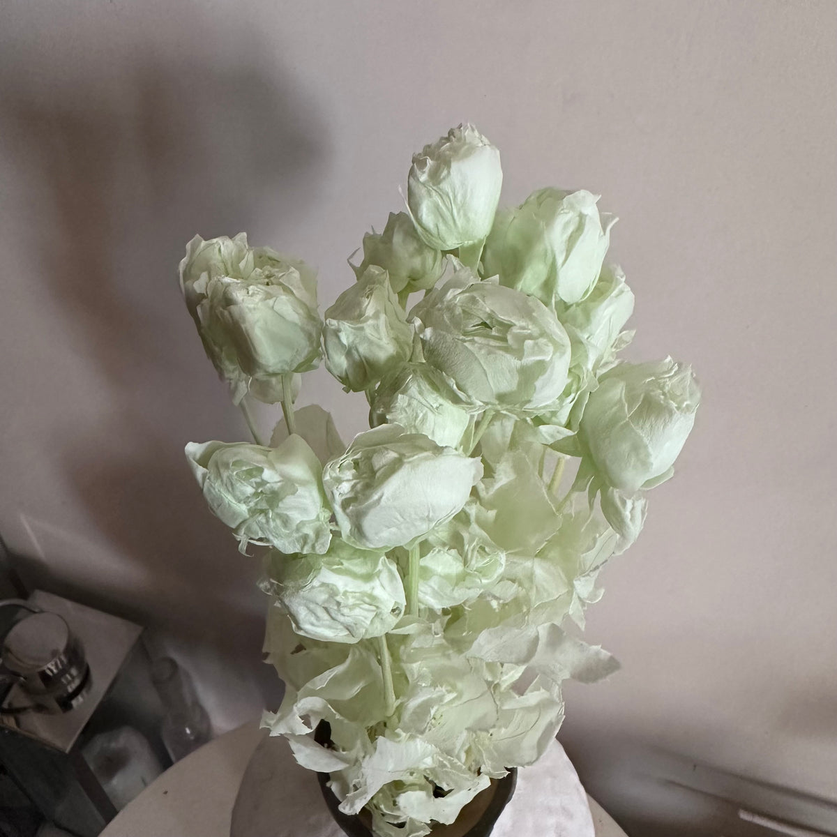 Bouquet de Roses Anglaises Séchées