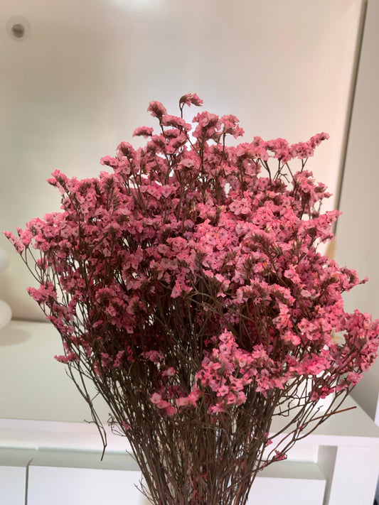 Statice séchée – Lavande de mer