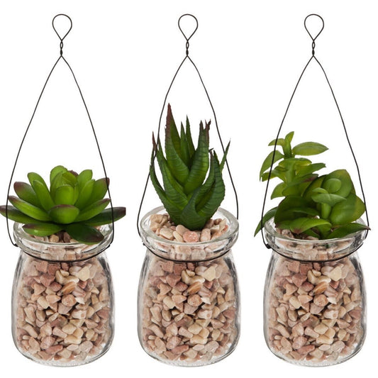 Plante suspension verre