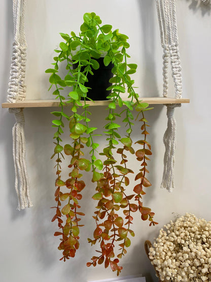 Plantes suspendues artificielles