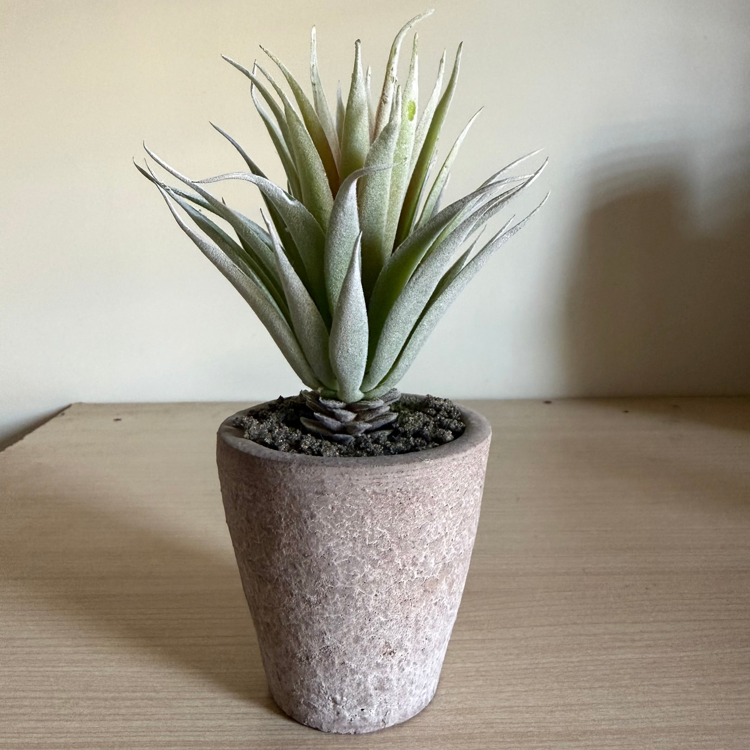 Plantes Artificielles Pot Béton