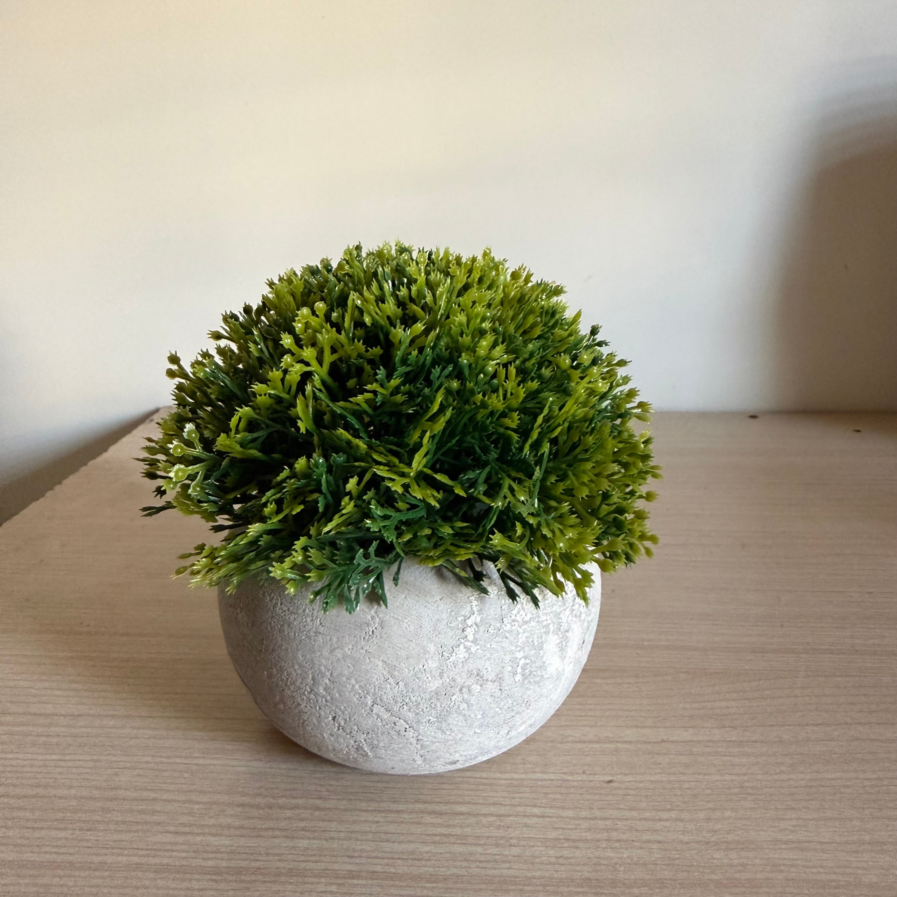 Plantes Artificielles Pot Béton