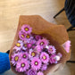 Fleur de marguerite séchée