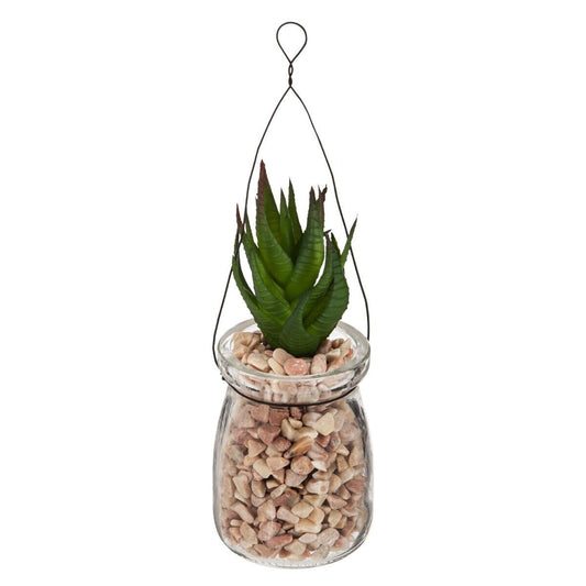 Plante suspension verre