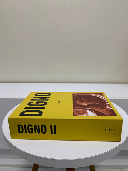 Livre décoratif