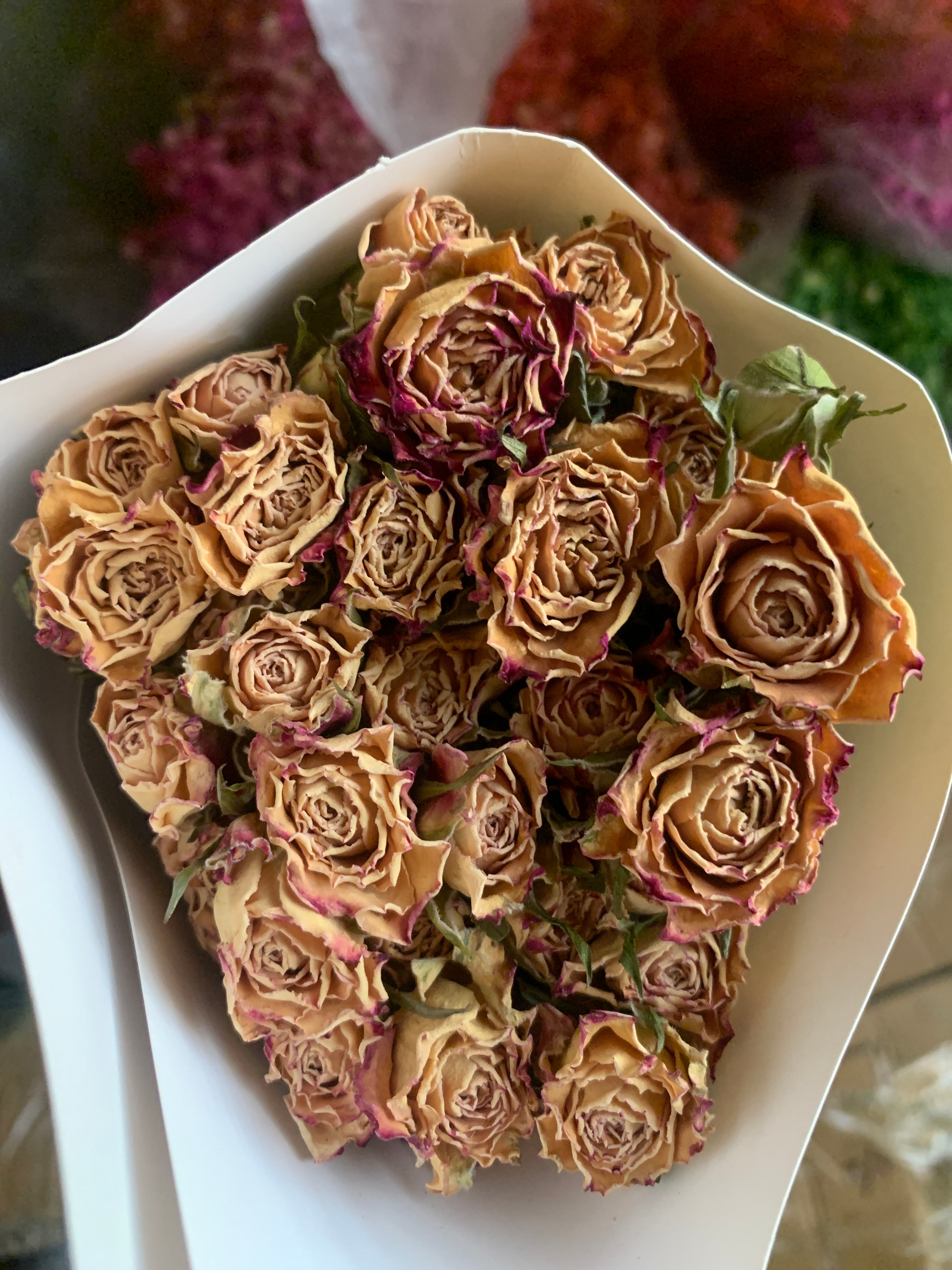 Roses séchées mini branchées