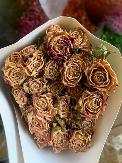 Roses séchées mini branchées