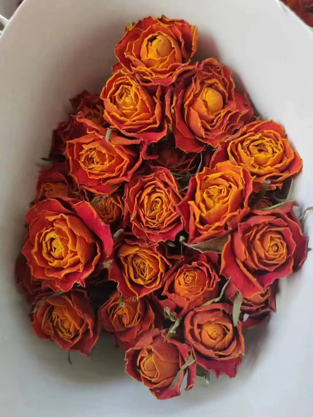 Roses séchées mini branchées