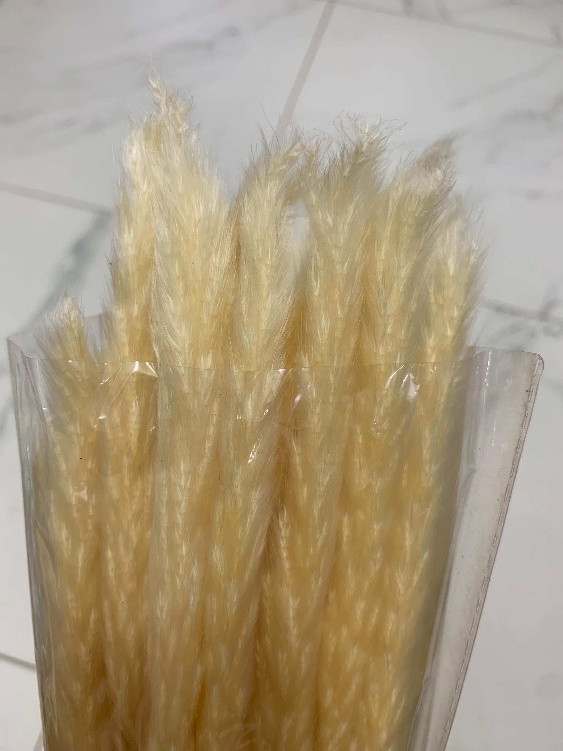 Baby Pampas