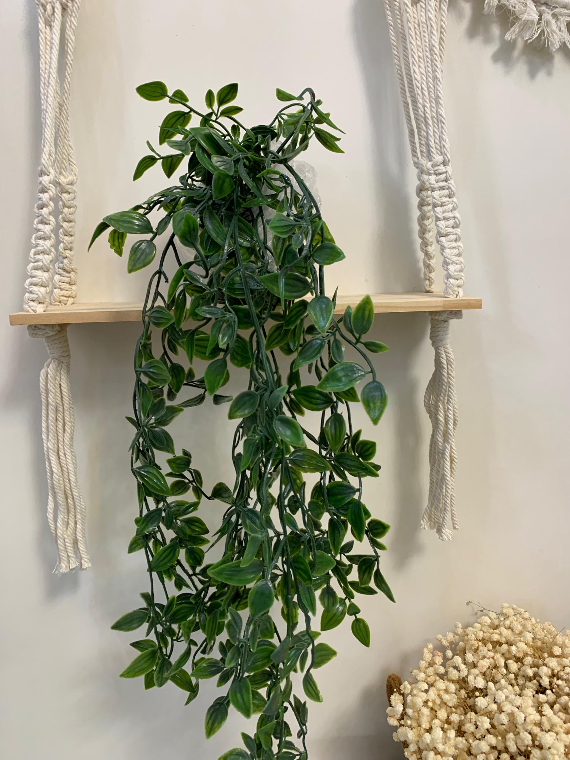 Plantes suspendues artificielles
