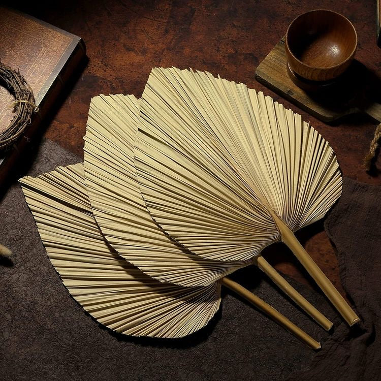Feuille de palmier séché
