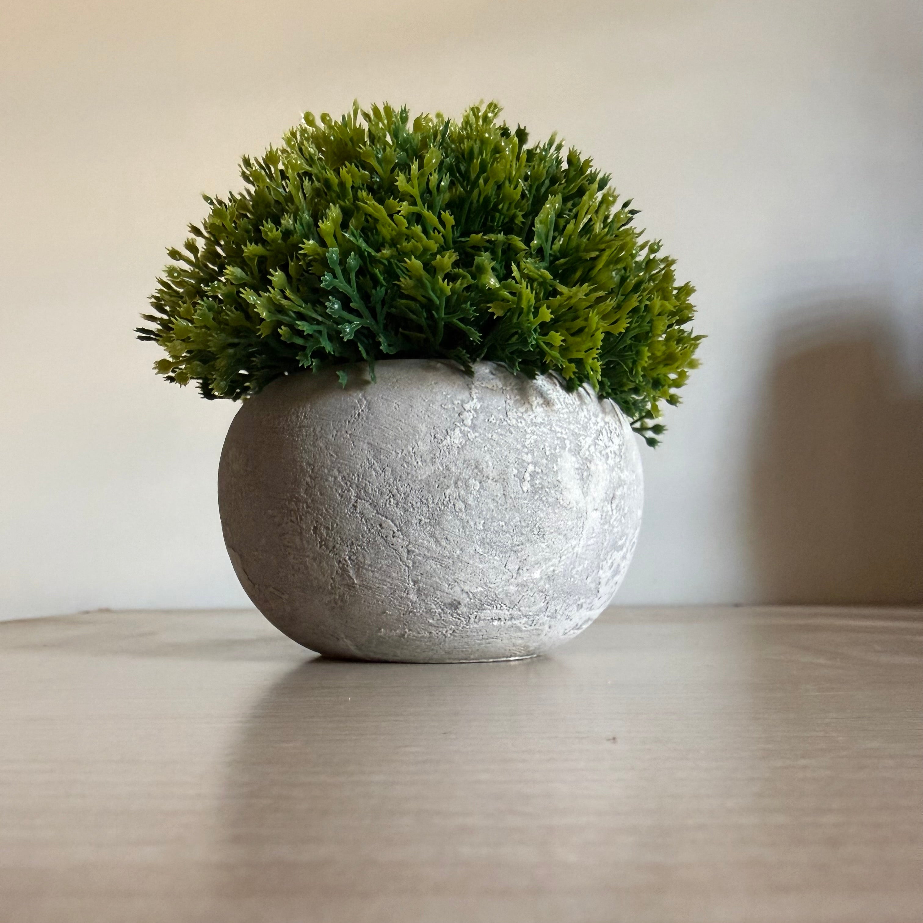 Plantes Artificielles Pot Béton