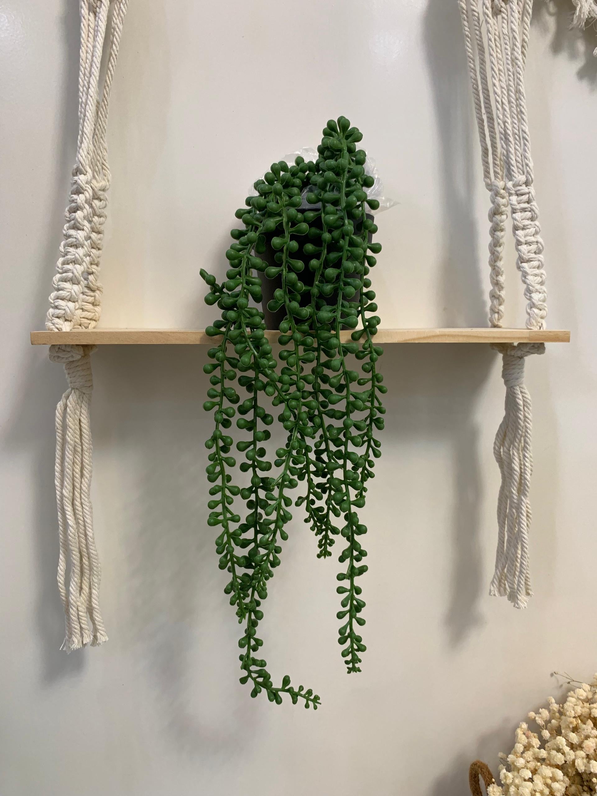 Plantes suspendues artificielles