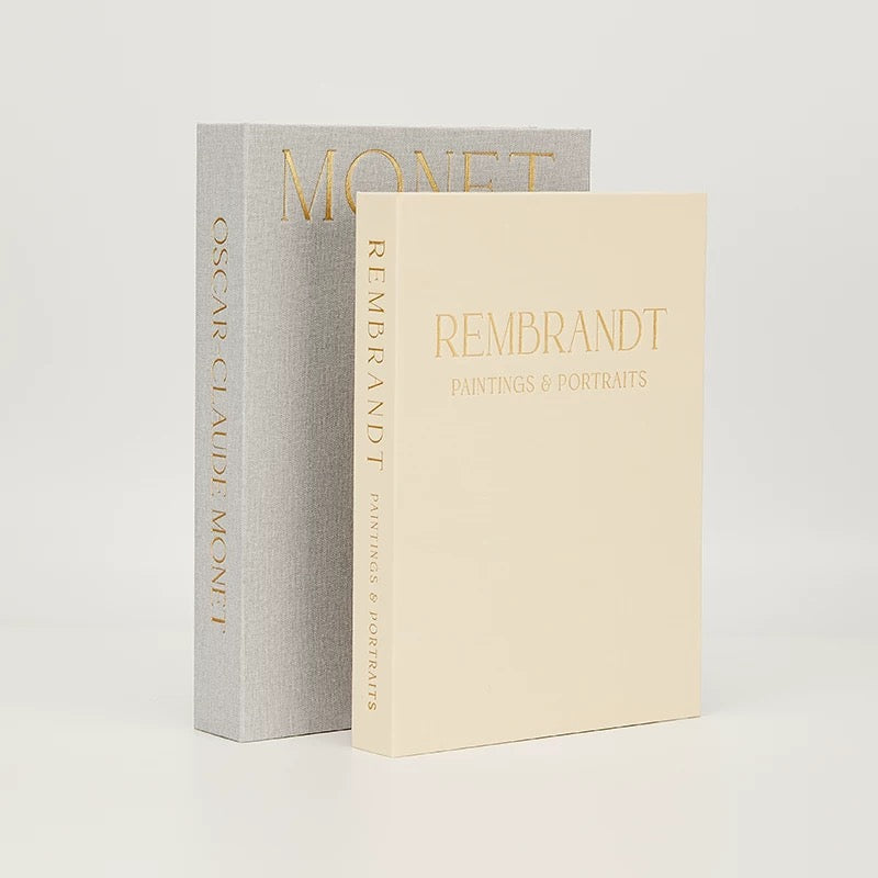 Duo boîtes livres décoratives