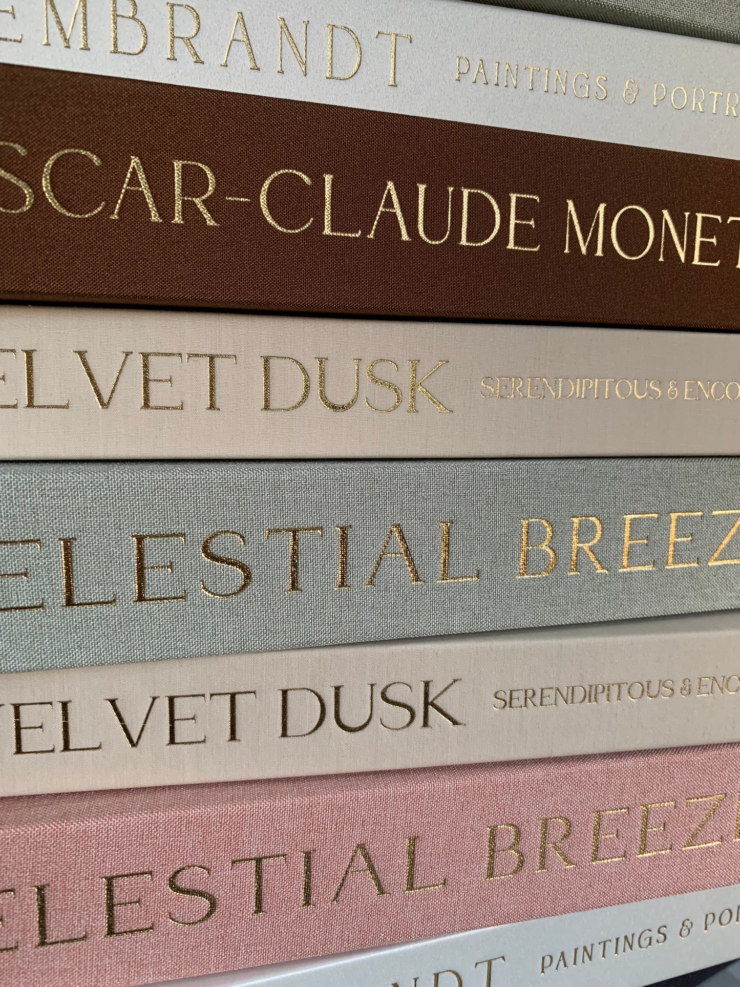 Duo boîtes livres décoratives