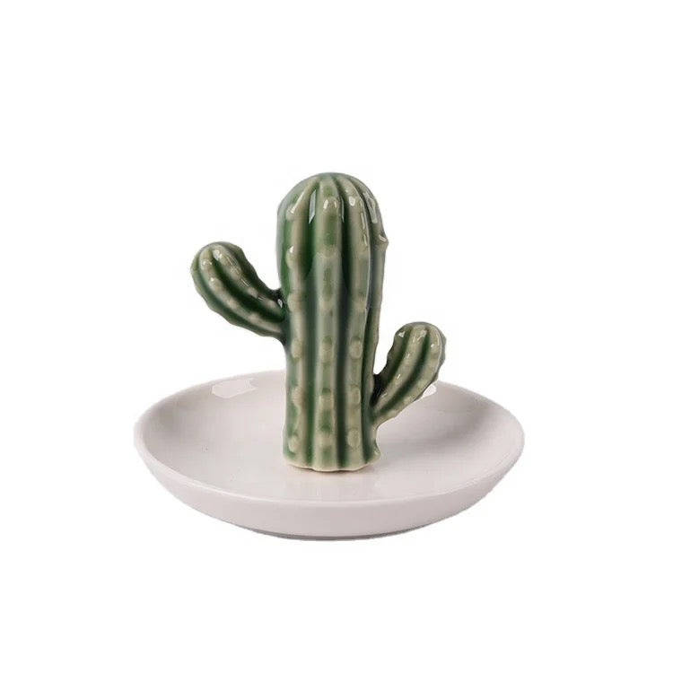 Mini plateau cactus