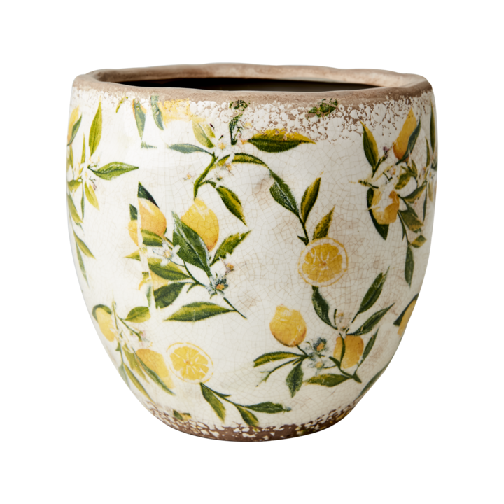 Cache-Pot citron 11cm
