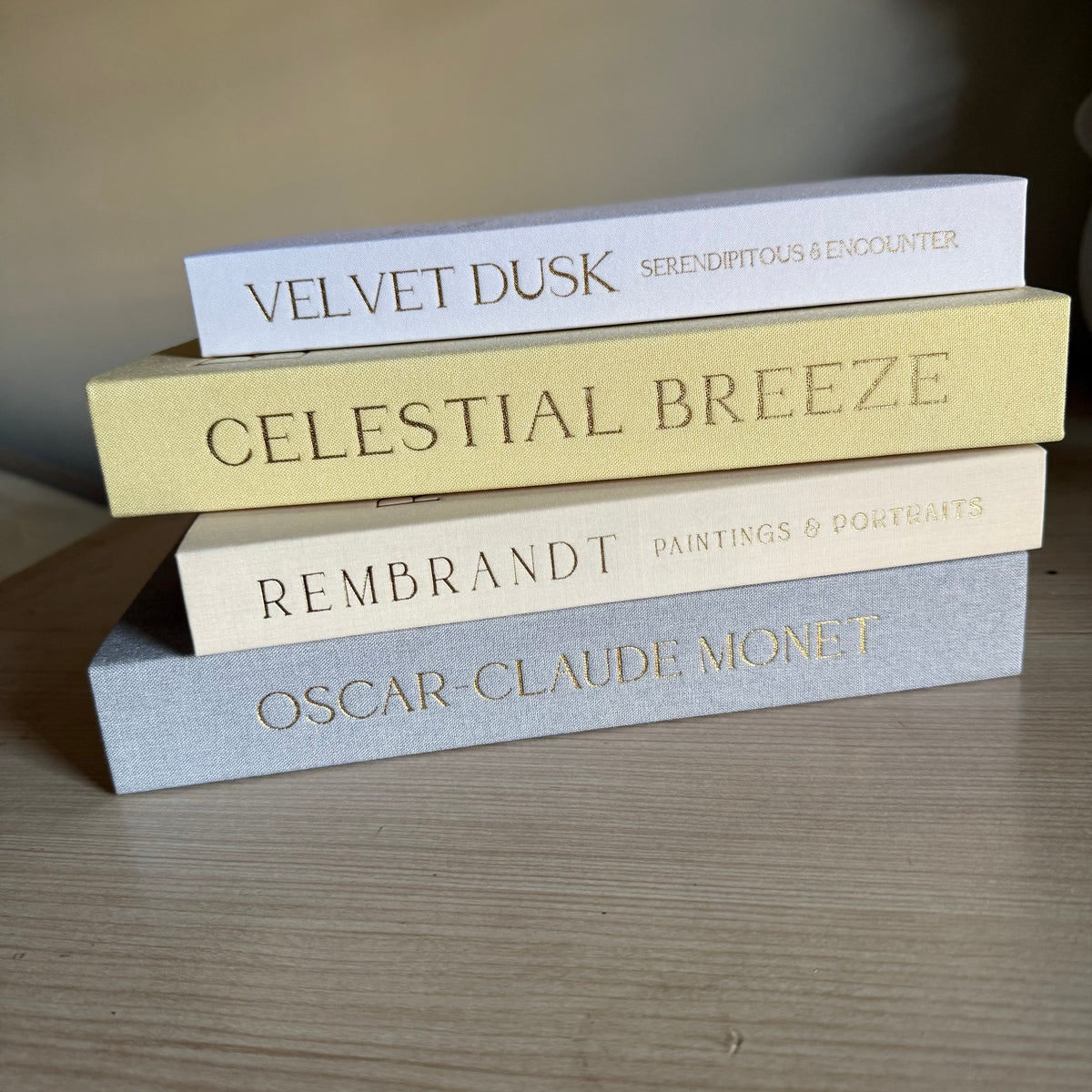 Duo boîtes livres décoratives