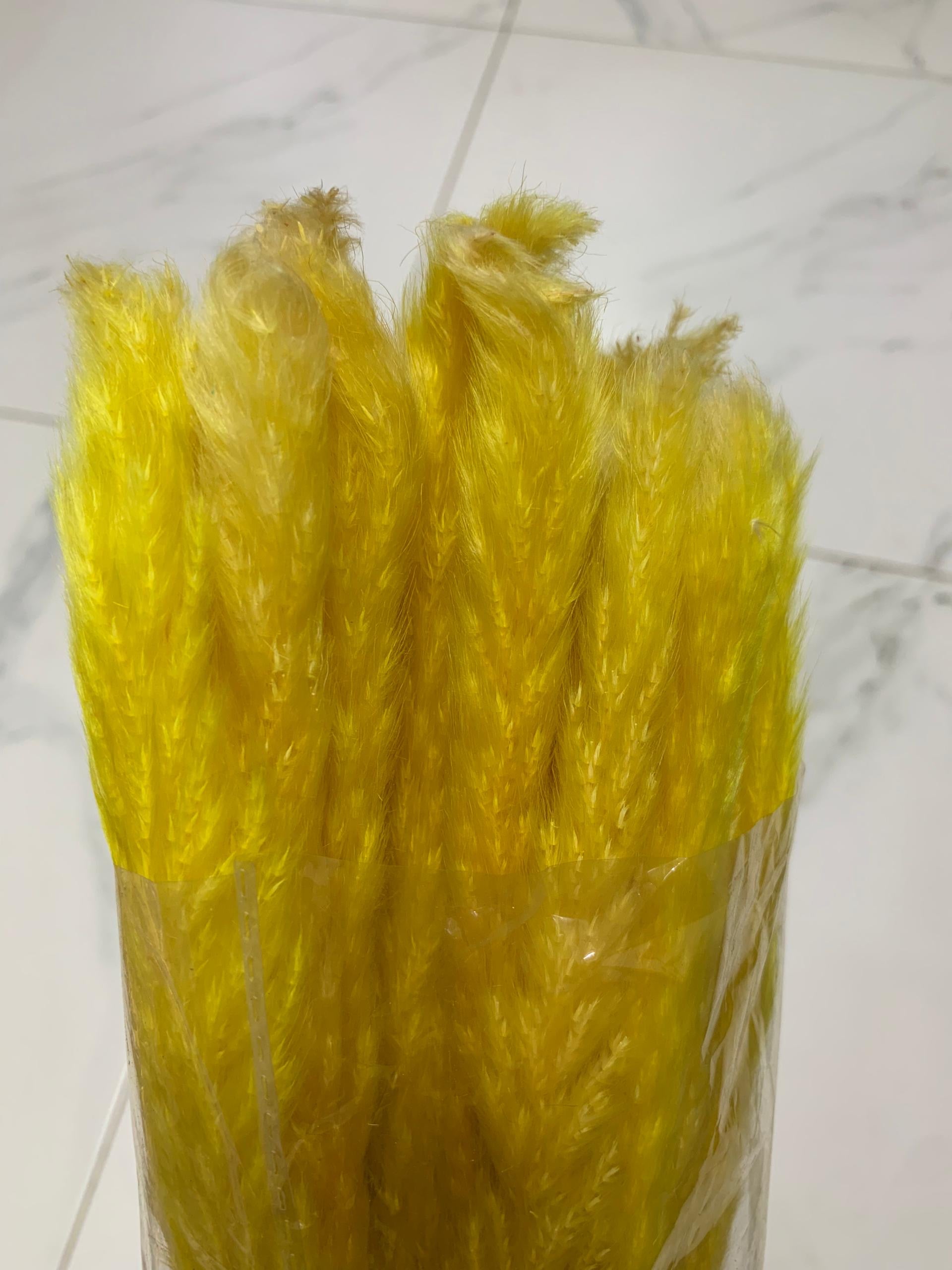 Baby Pampas