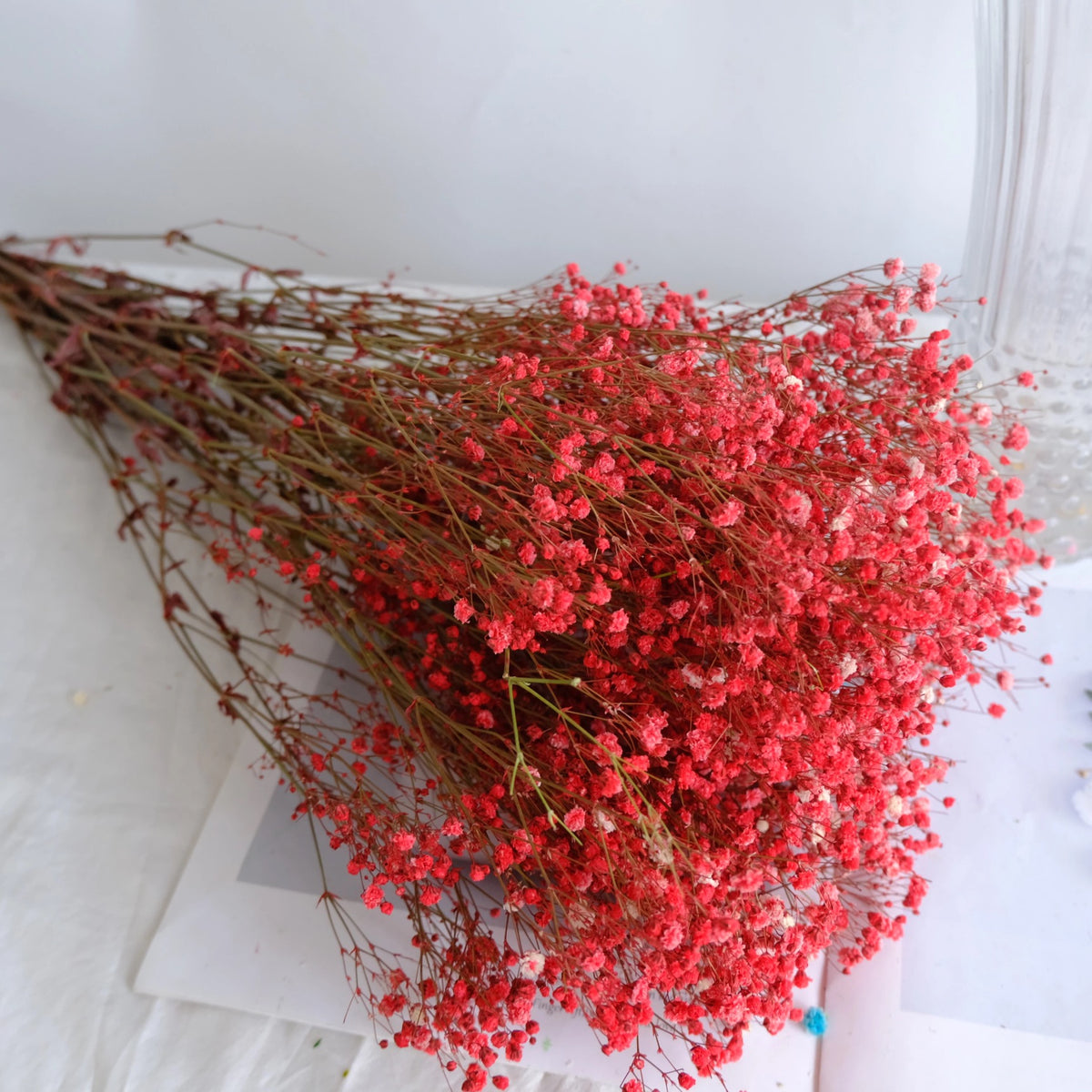 Gypsophile Séchée Naturelle 15cm - Lot Fleurs Séchées Pour Bricolage, Mariage & Décoration