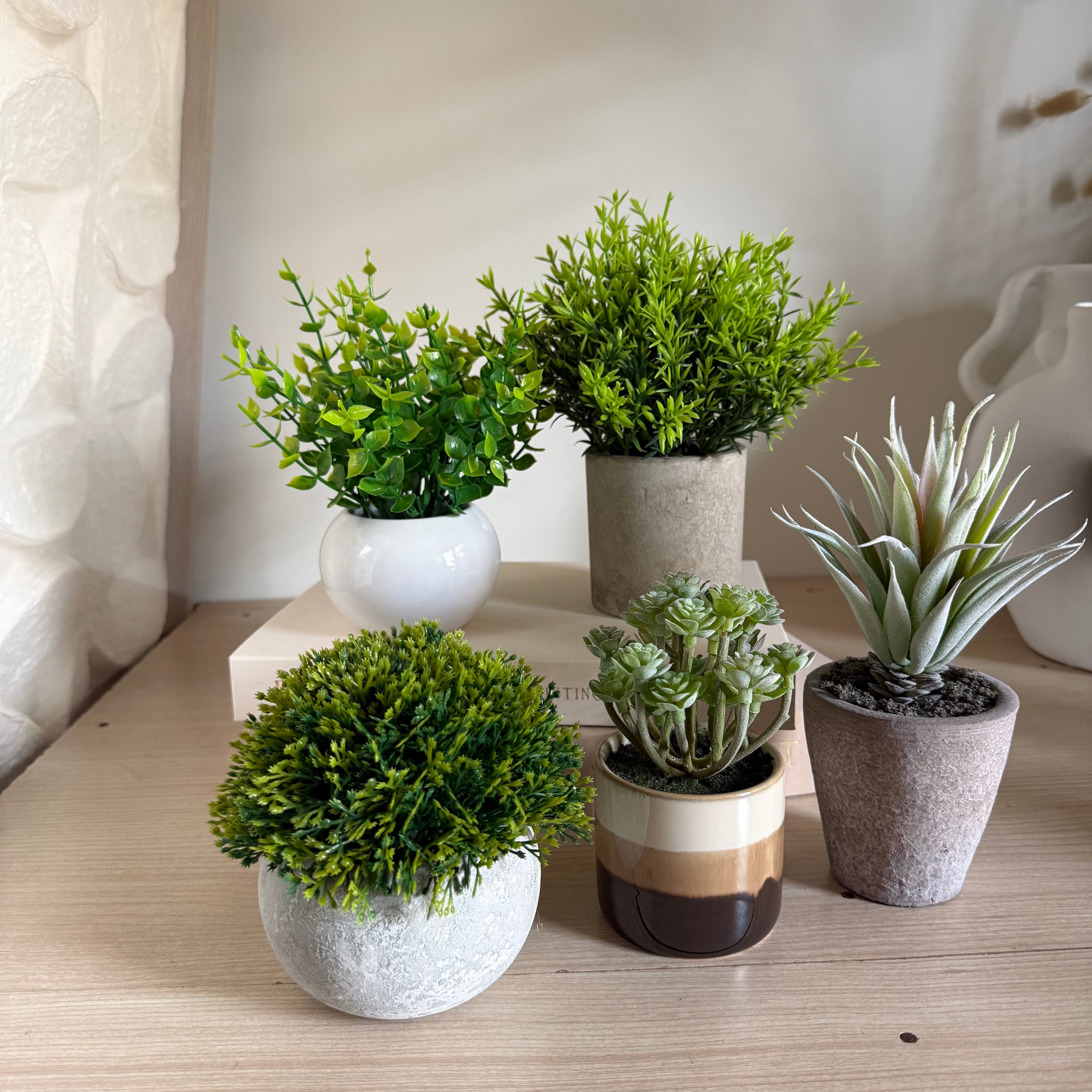 Plantes Artificielles Pot Béton