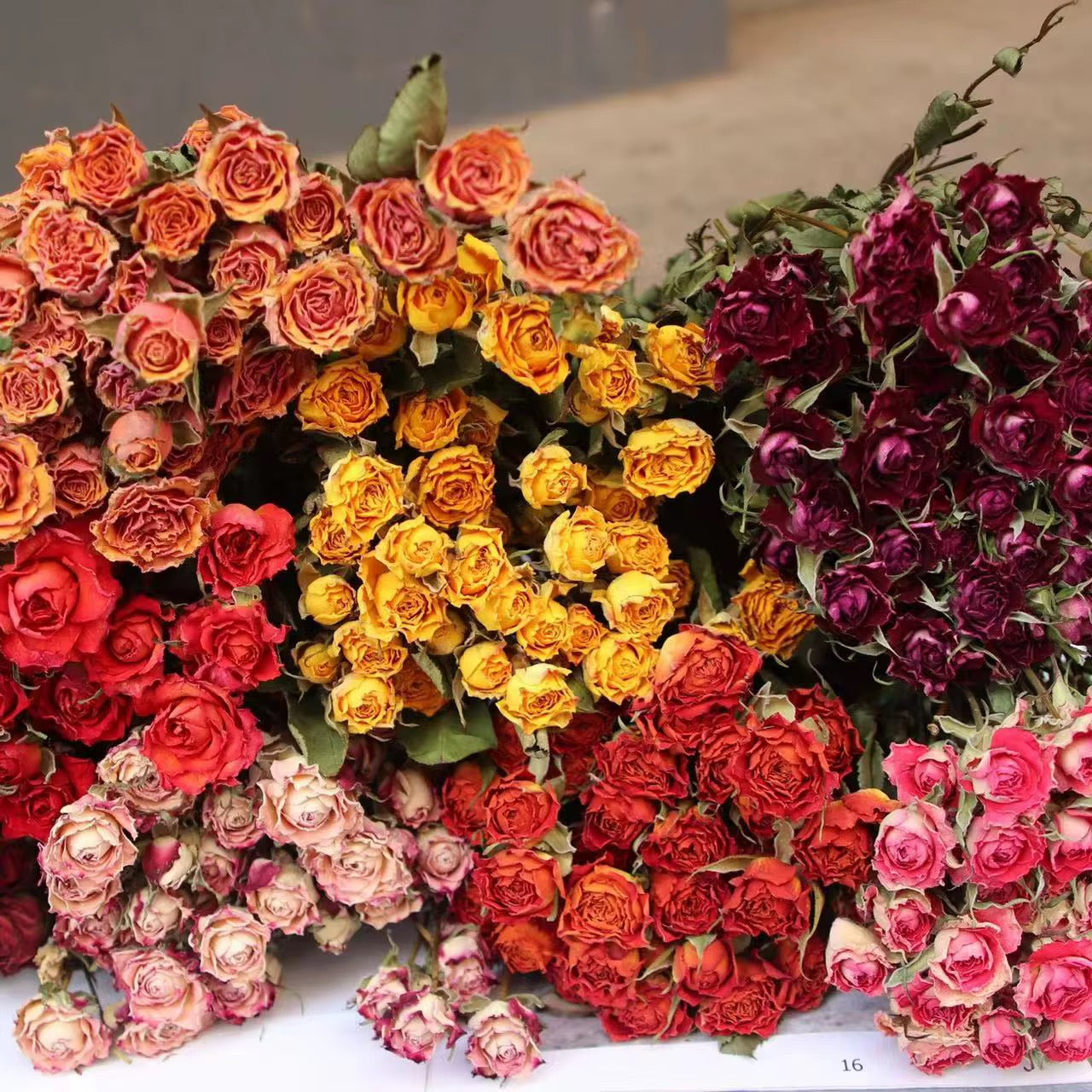 Roses séchées mini branchées