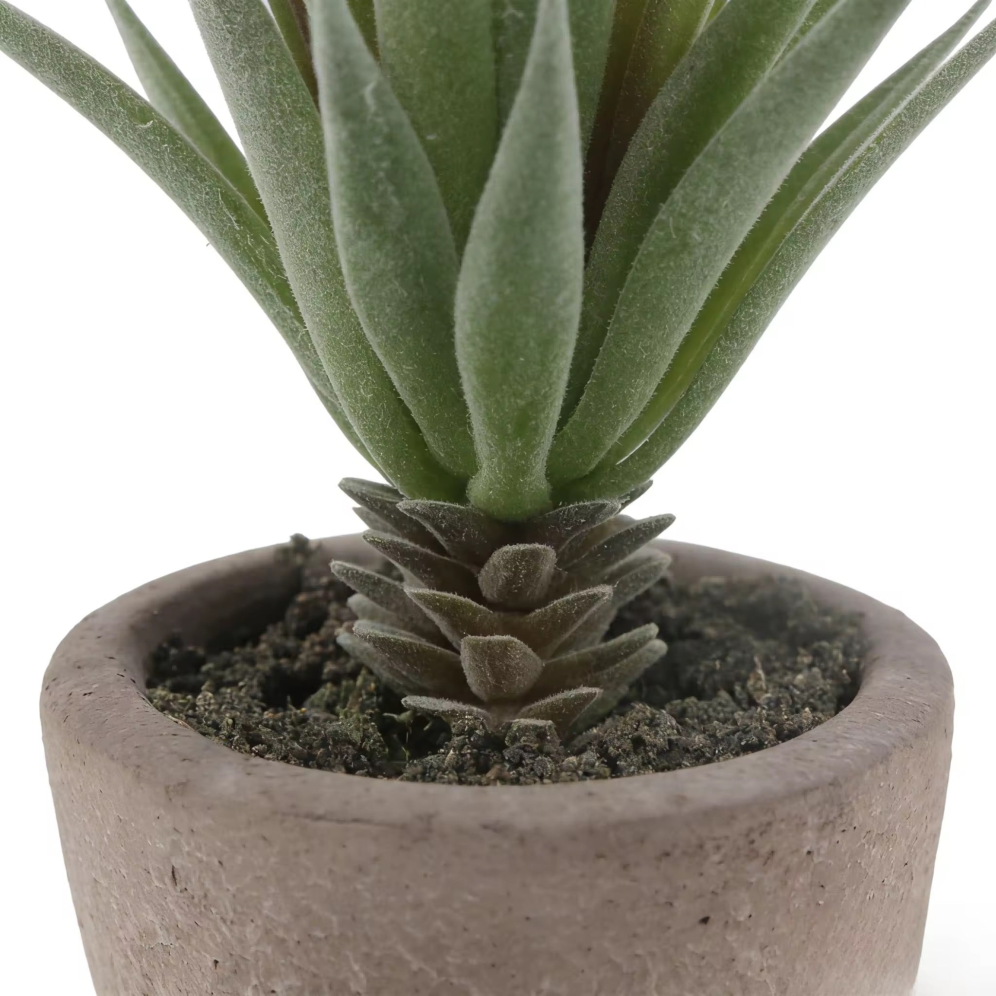 Plantes Artificielles Pot Béton