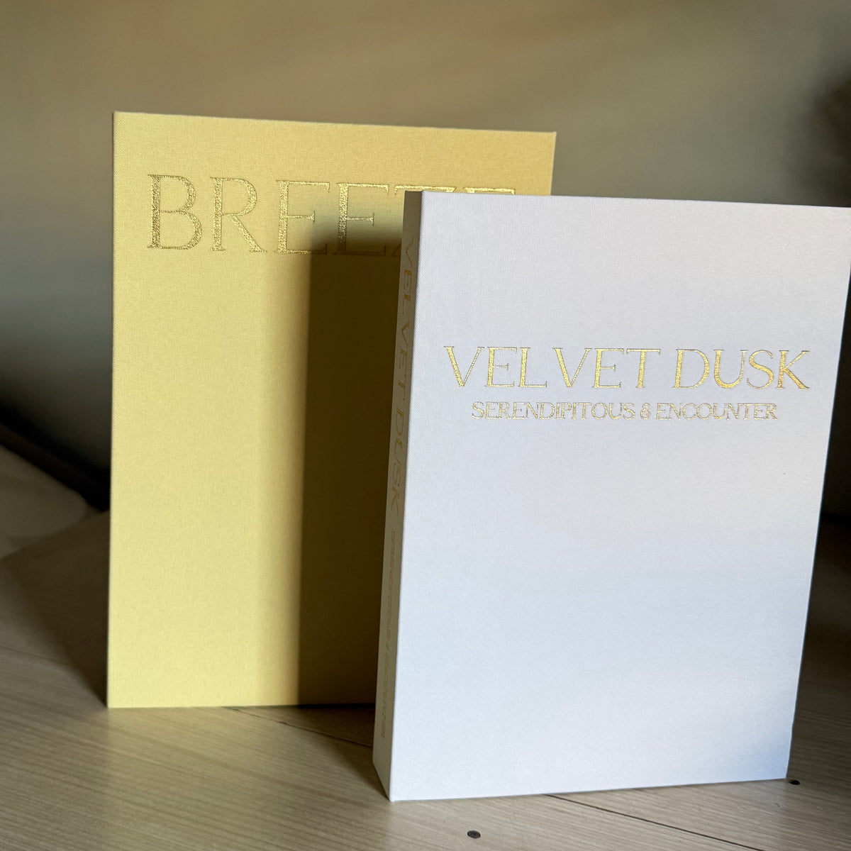 Duo boîtes livres décoratives