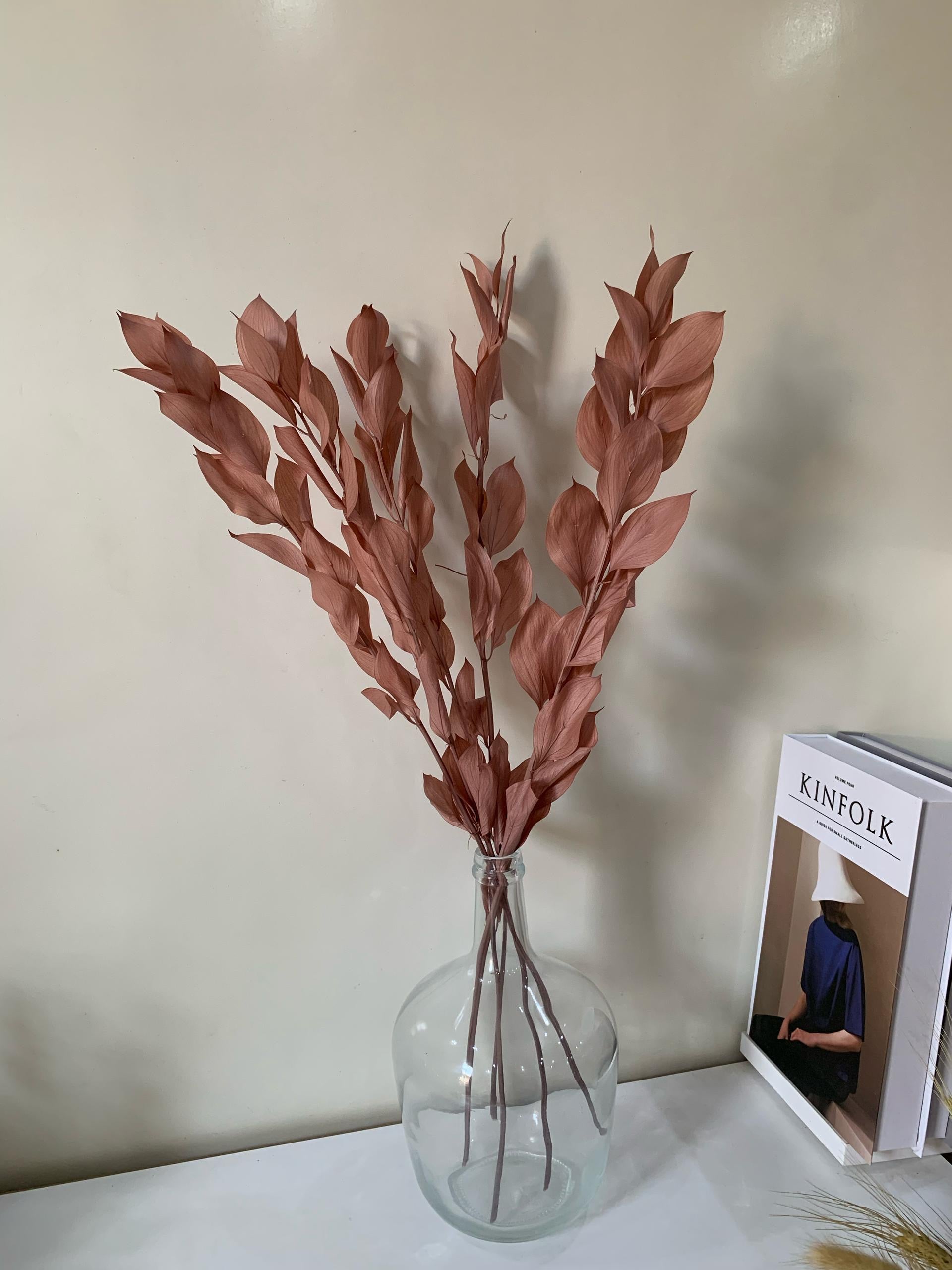 Ruscus Séchés