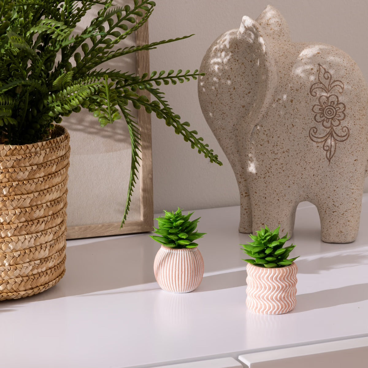 Mini Succulente Sillon