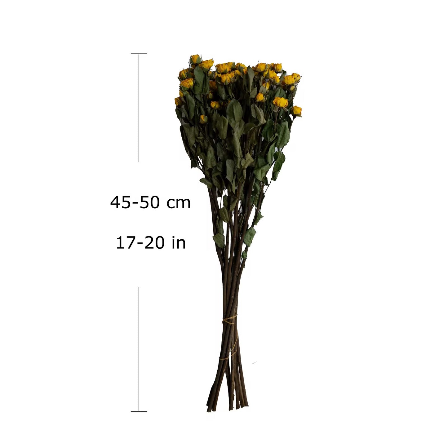 Roses séchées mini branchées