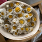 Fleur de marguerite séchée
